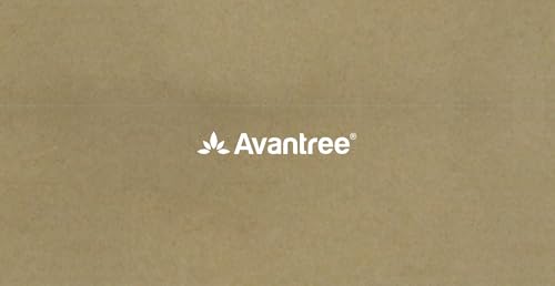 Avantree PowerByte - Portable Powerful 30W Stereo Bluetooth Speakers with Digital FM Radio & SD Card Player, 20hr Rechargeable Playtime, and Extended Range, Wireless & Wired Speaker & U Disk Player