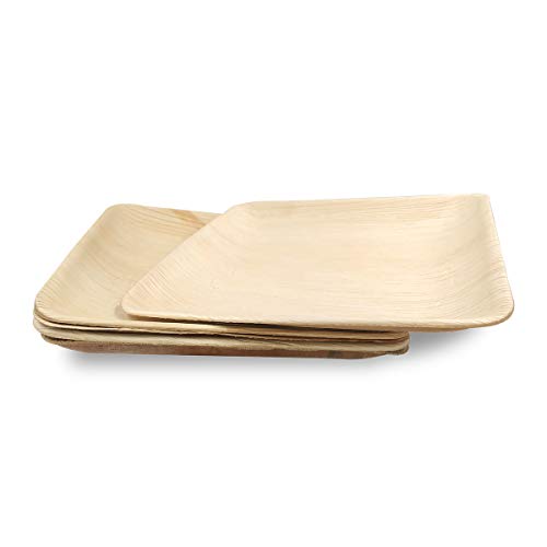 Dtocs Palm Leaf Plates 10 Inch Square 50 Dinner Plates Set | Bamboo Plates Disposable Like Compostable Plates, Disposable Charcuterie Boards, Platters | Disposable Plates Sturdy Than 10" Paper Plates