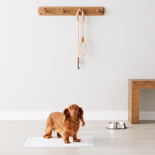 Amazon Basics Absorbent, Disposable, Quick Dry Puppy Pads with 5-Layer Leak-Proof Design, Odor Control, and Scented Surface for Potty Training, Regular, 22 x 22 Inch, Pack of 50, Blue & White