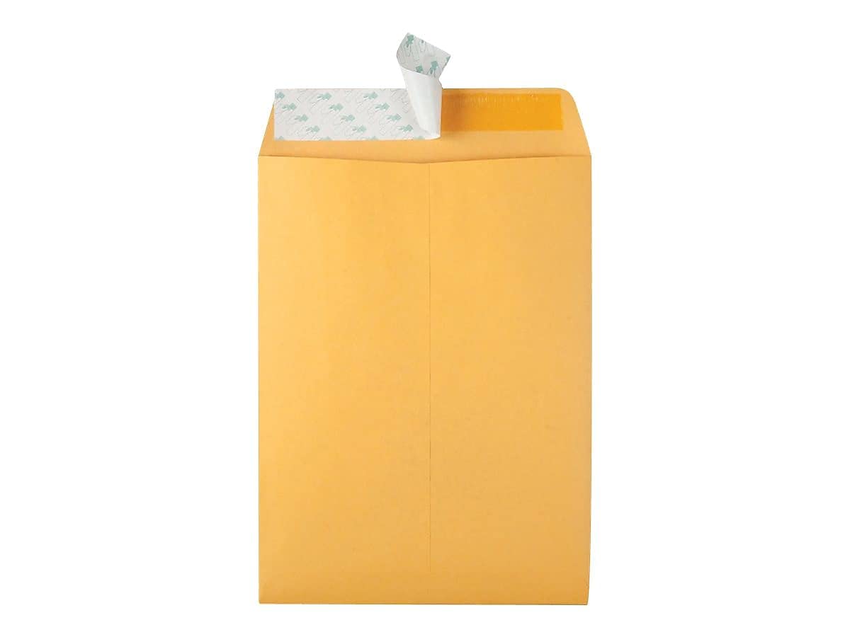 Quality Park Envelopes, Redi-Seal Catalog Envelopes, 9 x 12 Inches, 28 lb Light Brown Kraft, Self-Sealing, 100 Count - Ideal for Mailing, Storage, and Organizing