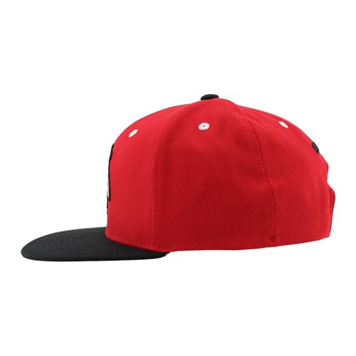 ZHATS Standard NHL Officially Licensed Adjustable Snapback Hat Flat Bill Z11 Icon Two Color