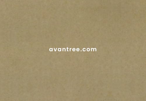 Avantree PowerByte - Portable Powerful 30W Stereo Bluetooth Speakers with Digital FM Radio & SD Card Player, 20hr Rechargeable Playtime, and Extended Range, Wireless & Wired Speaker & U Disk Player