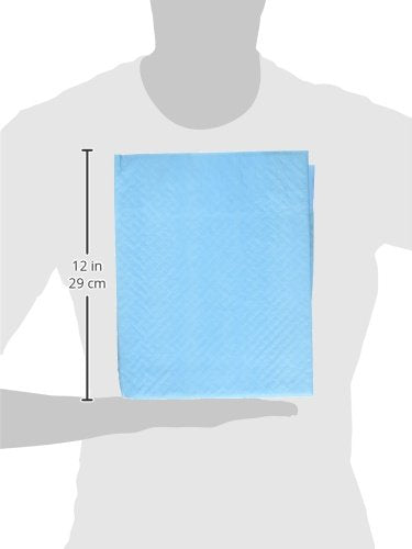 Wee Wee Dog Pee Pads Extra Large | 40 Count | Puppy Training Pee Pads for Dogs | XL Size