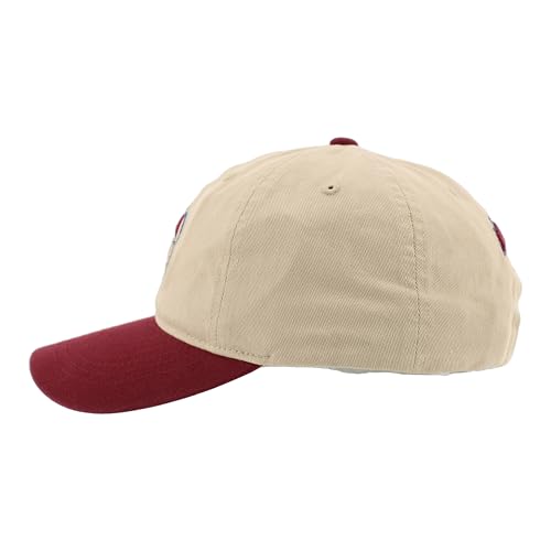 ZHATS Standard NHL Officially Licensed Adjustable Hat Scholarship Icon Stone