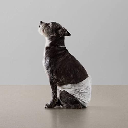 Amazon Basics Male Dog Diapers, 50 Count, Small, Ultra Absorbent Disposable Wrap with Secure Fit, Leakproof and Comfortable