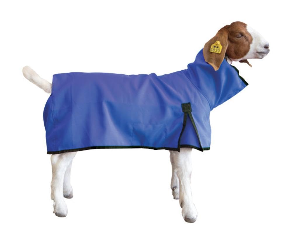 Weaver Livestock Goat Blanket, Large, Blue