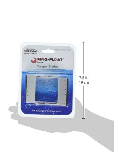 Gulfstream Tropical Replacement Scrapers for Mag-Float Scrape - 2 pk