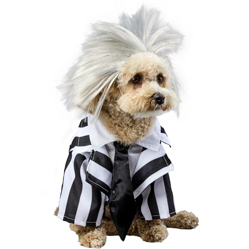 Rubies Costume Co Beetlejuice Pet Costume, Small