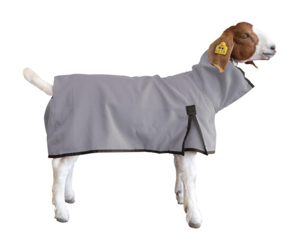 Goat Blanket, Large, Gray