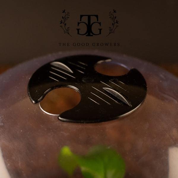 (10 Pack) The Good Growers Extra Large Plant Covers (10" x 8") with Vents - Reusable Plastic Cloche Domes for All-Weather & Frost Protection, Mini Greenhouse Effect & Pest Control