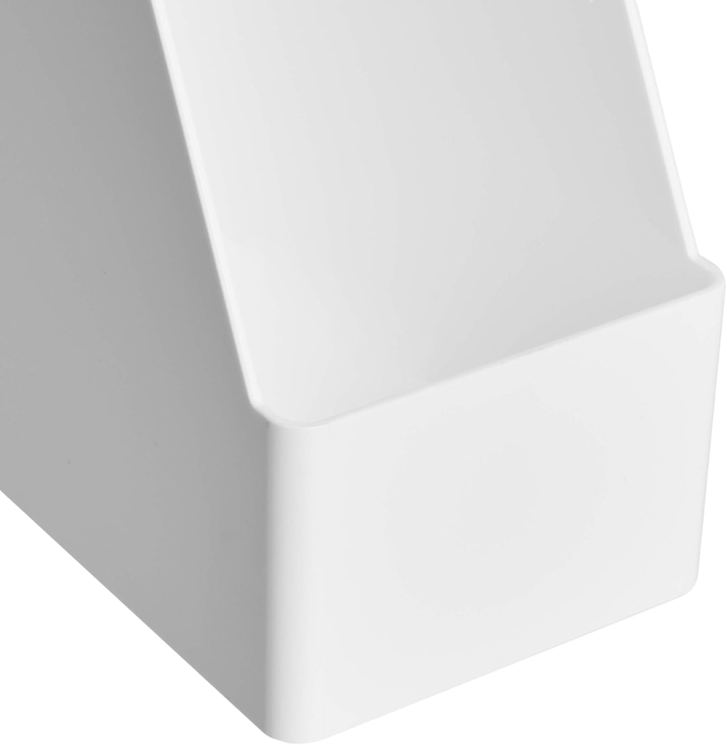 Amazon Basics Plastic Organizer - Magazine Rack, White, 2-Pack