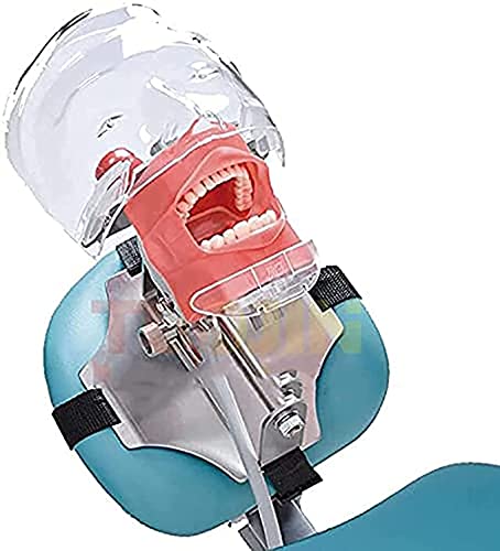 BONEW Dental Simulator Manikin Phantom Head Plastic Educational Teeth Model with Bench Mount for Education Fix on Dental Chair Type
