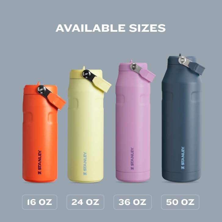 Stanley IceFlow Flip Straw 2.0 Water Bottle 24 oz | Built-in Straw for Travel and Sports | Lightweight and Leak Resistant | Insulated Stainless Steel | BPA-Free | ‎‎‎‎Frost