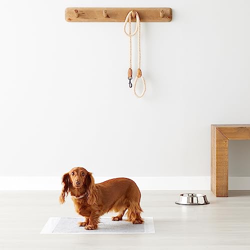 Amazon Basics Dog and Puppy Pee Pads with 5-Layer Leak-Proof Design and Super Absorbent Surface for Potty Training, Odor-Control Carbon, Regular Size, 22 x 22 Inch - Pack of 120, Gray