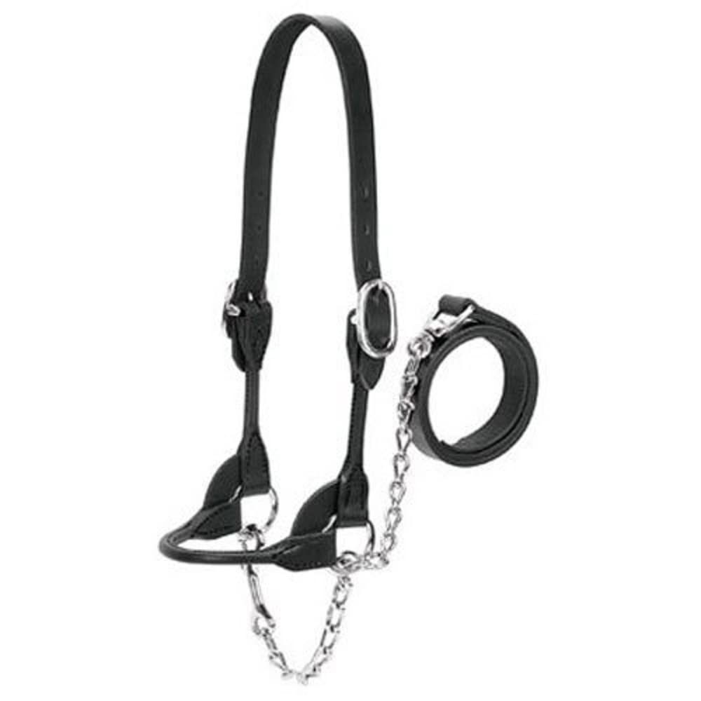 Weaver Leather Dairy/Beef Rounded Show Halter, Black, Small