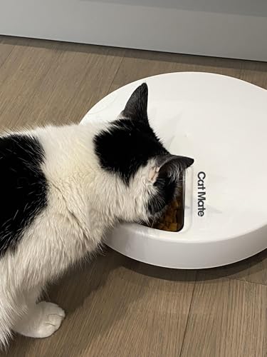 Cat Mate C500 Automatic Pet Feeder with Digital Timer for Cats and Small Dogs