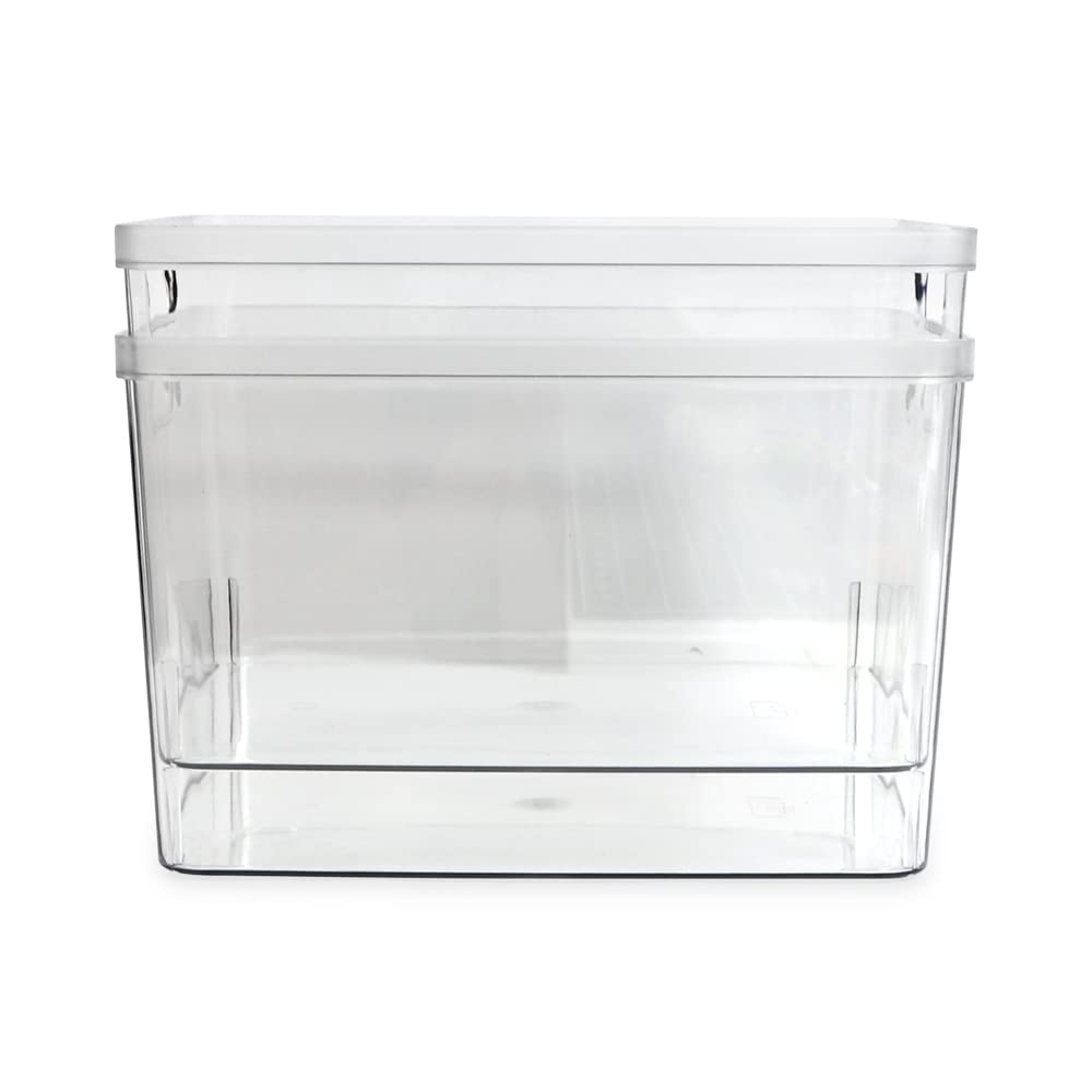 Isaac Jacobs 2-Pack Extra-Large Clear Storage Bins (11.5” L x 14” W x 9” H) w/Cutout Handles, Plastic Organizer for Home, for Kitchen, Fridge, Pantry, BPA Free, Food Safe (2-Pack, Extra-Large)