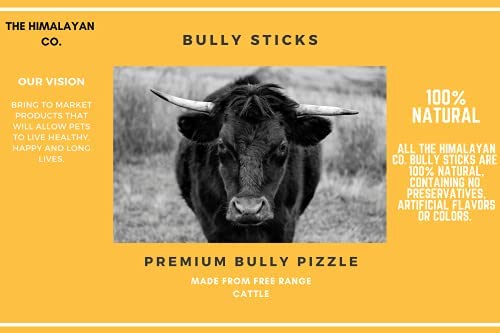 Canadian Made Bully Sticks for Dogs - 12 Inch Braided 3 Pack - Low to No Odor Bull Pizzle - Thick Premium Long Lasting