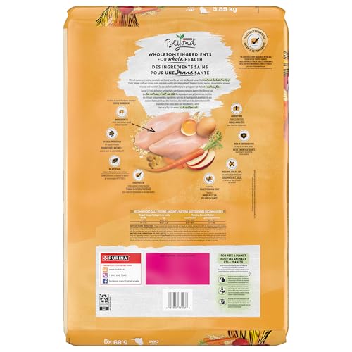 Beyond Simply Natural Dry Cat Food, Farm-Raised Chicken & Whole Oat Meal - 5.89 kg Bag