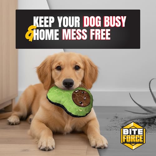 Bite Force - Durable & Strong Dog Toy Avocado Squeaker, Kevlar-Reinforced for Aggressive Chewers for Small Medium Large Dogs - Green.