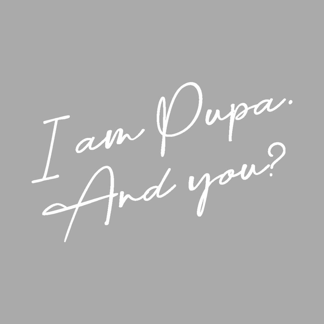 Pupa Milano - Multipurpose BB Cream for Women All Skin Types - 001 - Nude