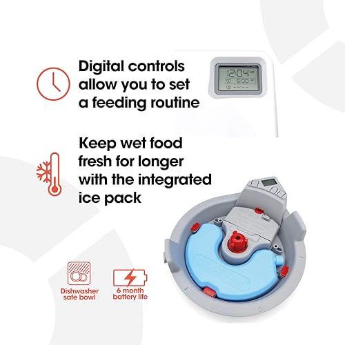 Cat Mate C300 Automatic 3 Meal Pet Feeder with Digital Timer for Cats and Small Dogs