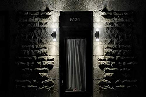 BAZZ W16639BK Luvia LED Outdoor Wall Fixture, Rust Proof, Energy Efficient, Water Resistant, Bulbs Included, 13-in, Black