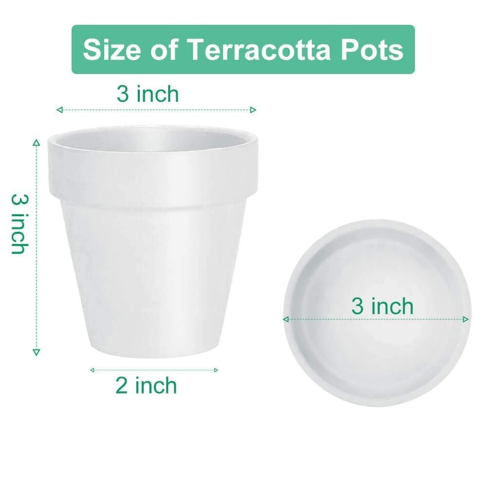 3 Inch White Clay Pot for Plant with Saucer - 12 Pack Small Terra Cotta Plant Pot with Drainage Hole, Flower Pot with Tray, Terracotta Pot for Indoor Outdoor Plant