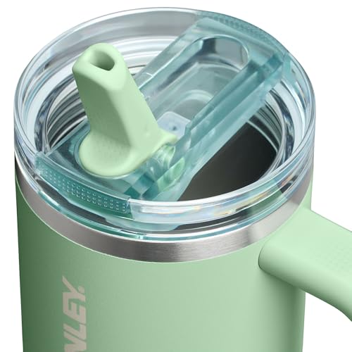 Stanley Quencher ProTour Flip Straw Tumbler with Leakproof Lid 30 oz | Built-in Straw and Handle | Cup Holder Compatible for Travel | Insulated Stainless Steel Cup | BPA-Free | Pistachio