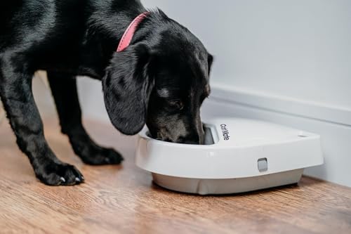 Cat Mate C300 Automatic 3 Meal Pet Feeder with Digital Timer for Cats and Small Dogs