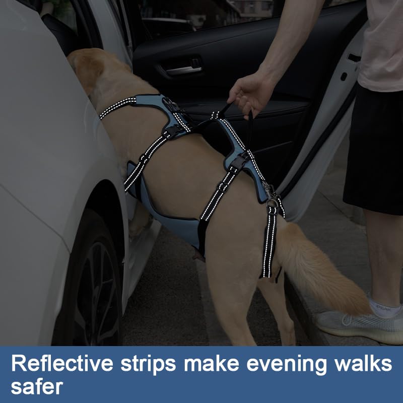 Coodeo Dog Lift Harness, Support & Recovery Sling, Pet Rehabilitation Lifts Vest Adjustable Breathable Straps for Old, Disabled, Joint Injuries, Arthritis, Paralysis Dogs Walk (Large)