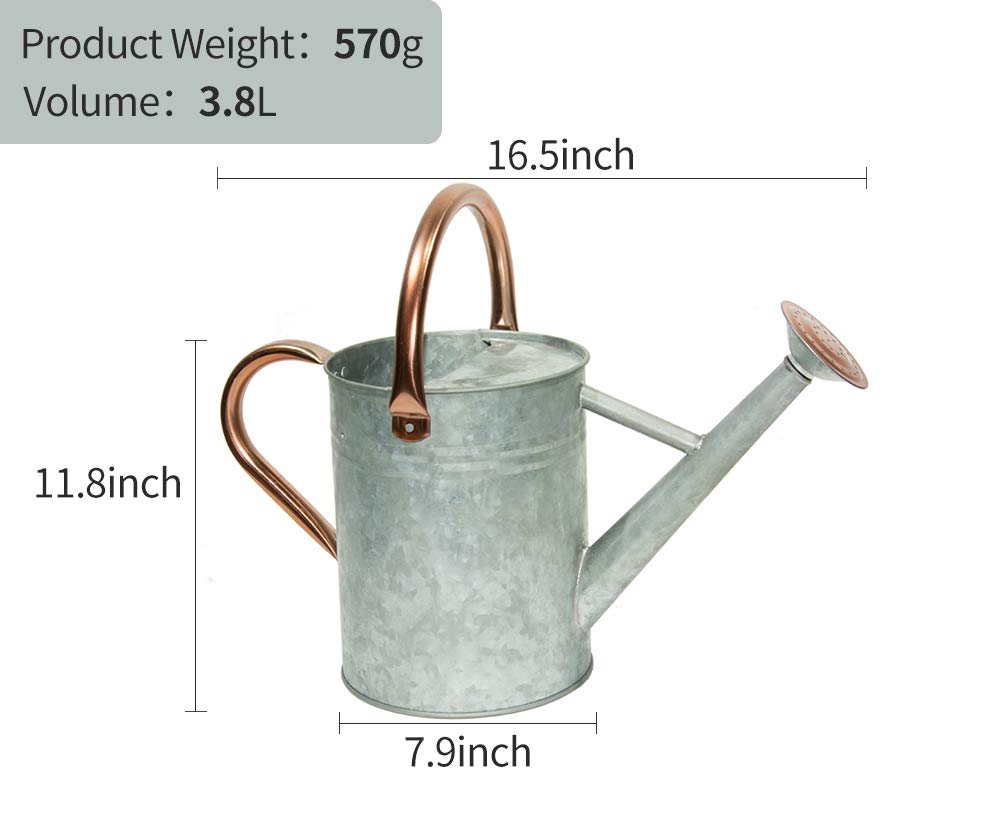 yourjoy Metal Watering Can, One Gallon Watering Cans Stainless Steel for Outdoor Indoor Garden Plants Watering (Silver)