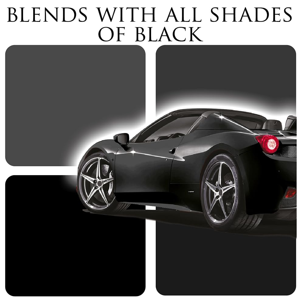 Car Gods Black Carnauba Wax Polish, 17 Fl Oz