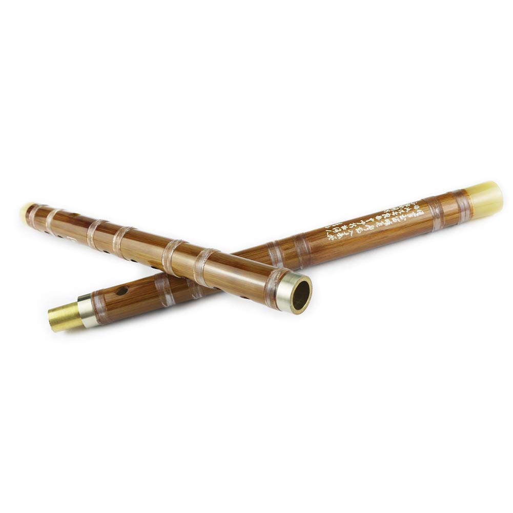 D Key Dizi Bitter Bamboo Flute for Beginners with Free Membrane & Glue & Protector Set Traditional Chinese Instrument（Key of D/Bitter Bamboo）