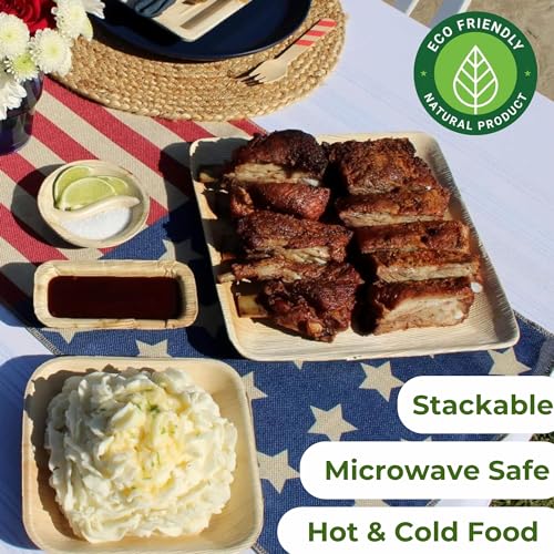 Dtocs Palm Leaf Plates 10 Inch Square 50 Dinner Plates Set | Bamboo Plates Disposable Like Compostable Plates, Disposable Charcuterie Boards, Platters | Disposable Plates Sturdy Than 10" Paper Plates