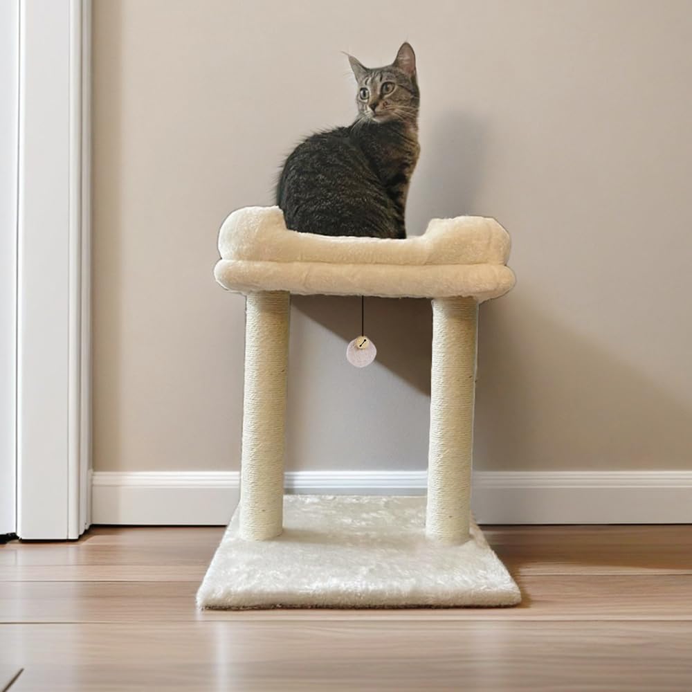 Cat Tree Tower with Top Perch for Small and Medium Indoor Cats, Cat Scratching Post with Bed for Kittens, Removable Cover, Natural Sisal Scratching Post and Dangling Ball Toy, Beige