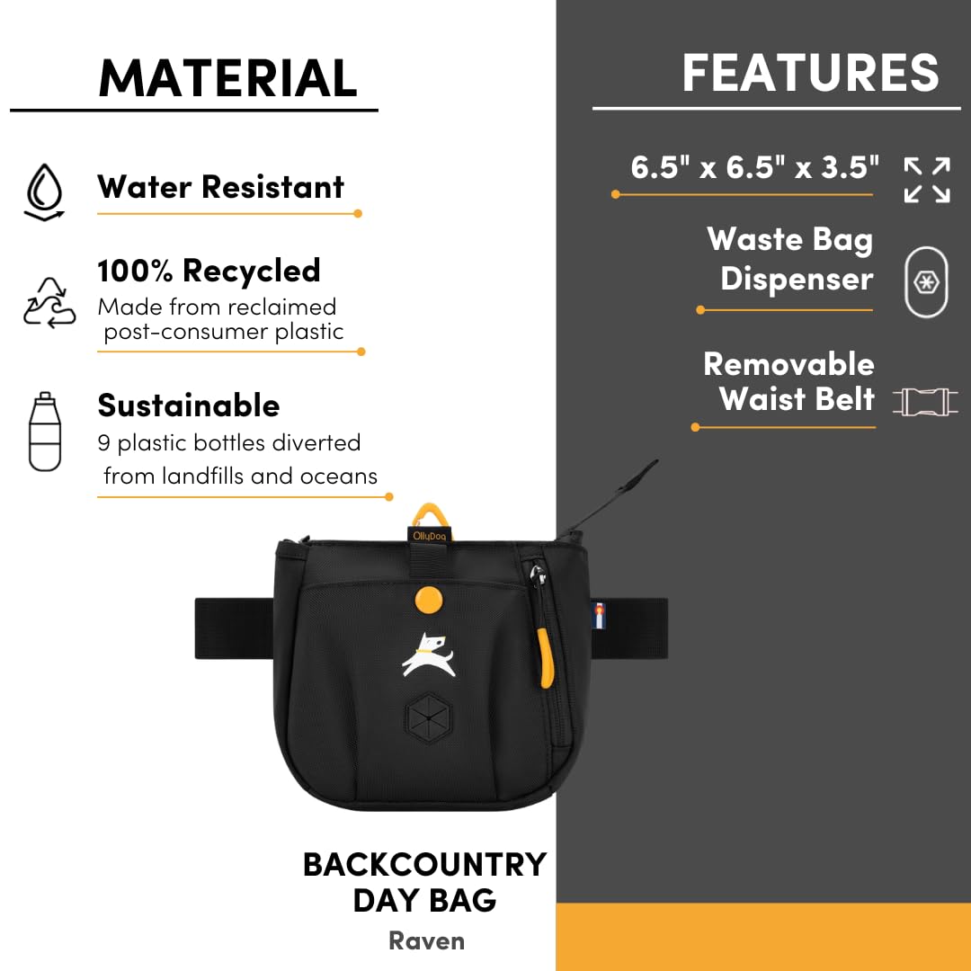 OllyDog Backcountry Day Bag | Hands-Free Dog Training Treat Pouch | Fanny/Hip Pack with Zipper Closure & Built-in Poop Bag Dispenser | Removable Waist Clip (Raven S'25)