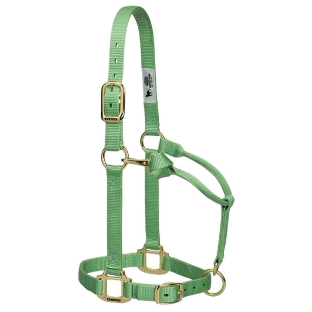 Weaver Leather Original Adjustable Nylon Horse Halter, Weanling/Pony, Hunter Green