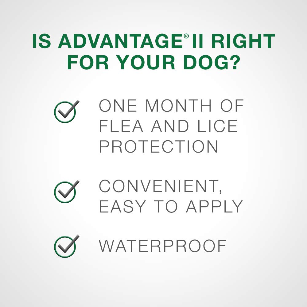 Advantage II Flea Treatment for Medium Dogs weighing 4.6 kg to 11 kg (10 lbs. to 24 lbs.)-2 doses