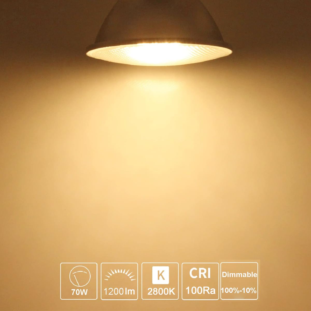 Rnyloas PAR38 Halogen Flood Light 70W 120V（80W Equivalent,4 Pack Long Lifespan PAR38 Flood Light Dimmable, High Output 800LM PAR38 Bulb with E26 Base, 2800k Warm White Halogen Par38 Light Bulb