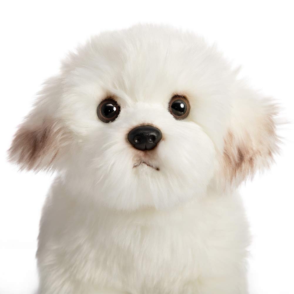HollyHOME Maltese Stuffed Animal Realistic Maltese Dog Plush Toy Pet Gift for Kids 13 inches