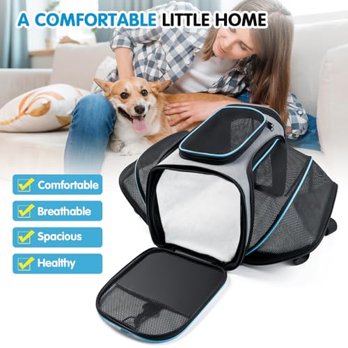 Cat Dog Carrier - Airline Approved Expandable Soft-Sided Pet Carrier, 4 Sides Expandable Cat Collapsible Carrier with Removable Fleece Pad and Pockets for Cats Dogs and Small Animals