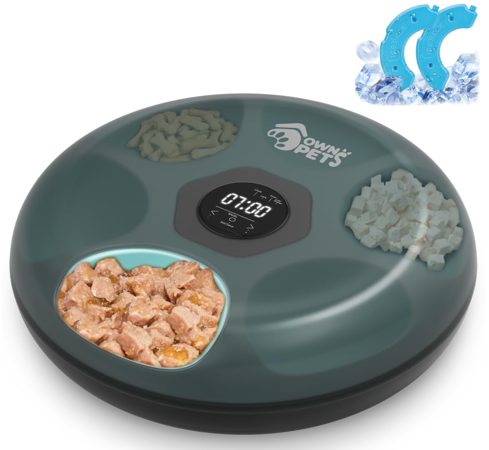 Ownpets 6 Meals Automatic Cat Feeder for Wet/Dry Food, with 2 Ice Packs, Programmable Timed Pet Food Dispenser, Cordless Rechargeable Battery Auto Feeder for Kitty/Small Dogs,Black