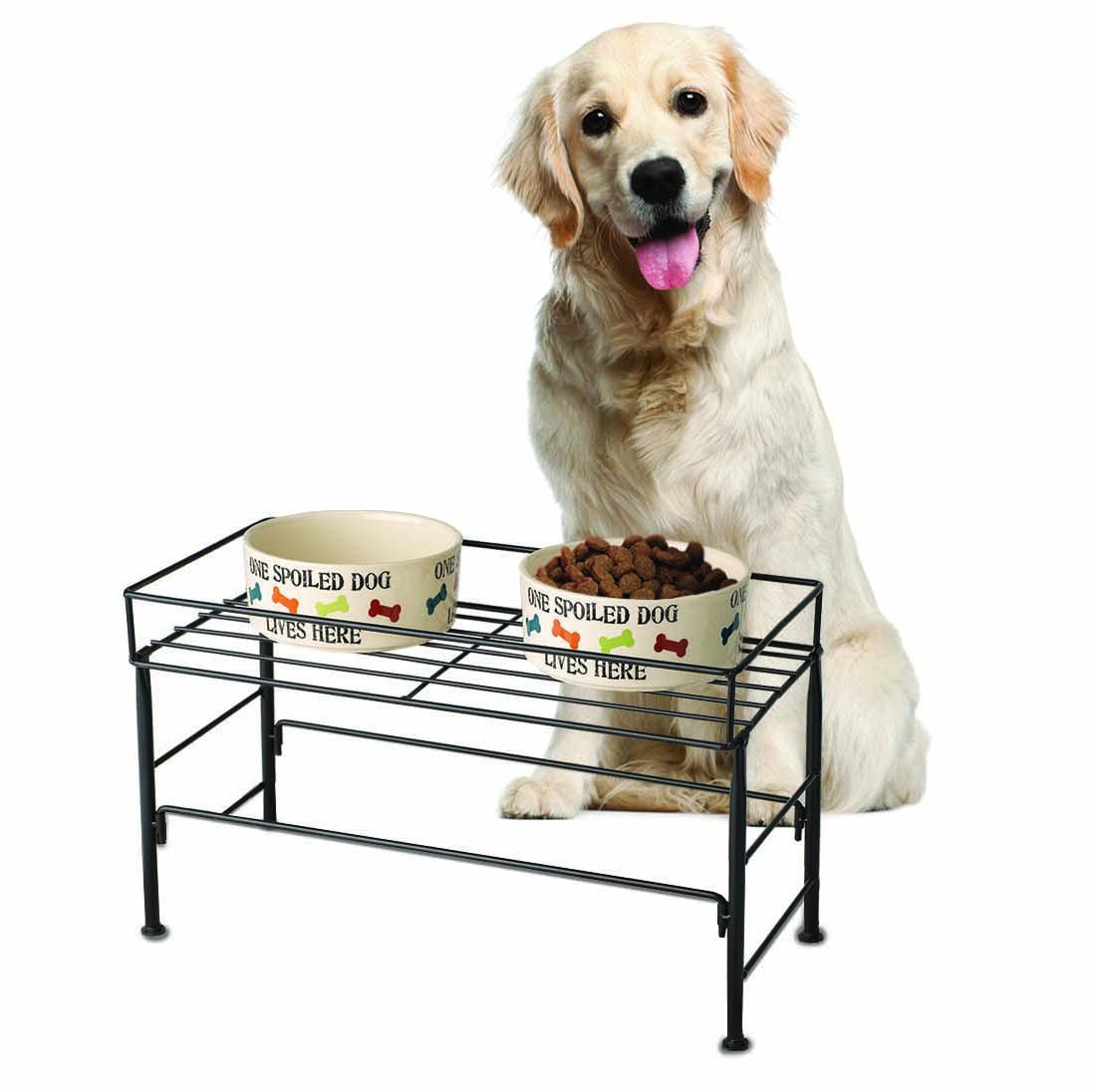 PetRageous 81032 Bradys Set The Table Steel Frame Dog Feeder, 10-Inch Tall by 20-Inch Long and 10-Inch Wide, Holds Two 9-Inch Diameter Bowls for Large and Extra Large Dogs, Black