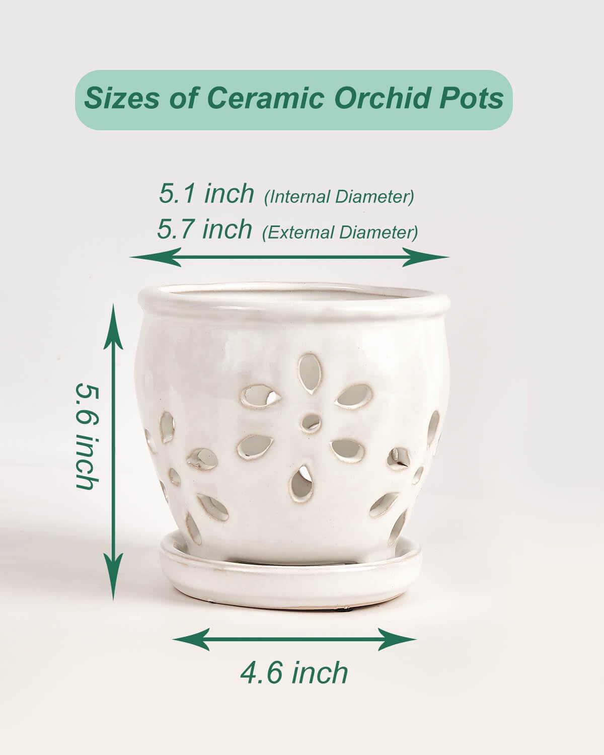 5 Inch Ceramic Orchid Pots with Holes and Saucers - 1 Pcs Small Ceramic Orchid Planter Pots for Repotting, Plant Flowerpots for Orchid Indoor and Outdoor Promotes Air Circulation, White