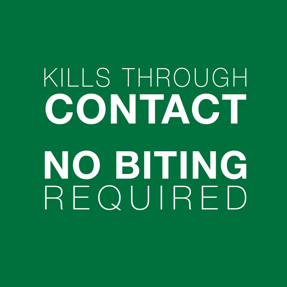 Advantage II Flea Treatment for Small Cats weighing between 2.3 kg to 4 kg (5 lbs. to 9 lbs.)-2 doses