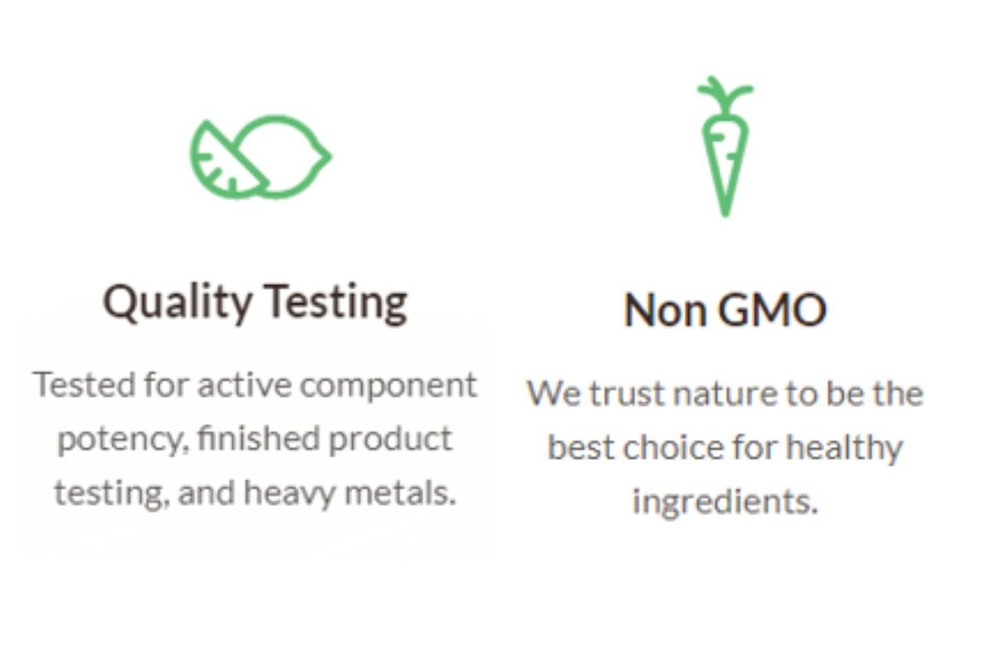 Alora Naturals Alpha GPC 600mg | High-Potency Choline Supplement for Brain Health, Focus & Memory | Acetylcholine Nootropic for Cognitive Support | Vegan, Non-GMO | 60 Capsules (Pack of 2)