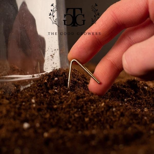 (10 Pack) The Good Growers Extra Large Plant Covers (10" x 8") with Vents - Reusable Plastic Cloche Domes for All-Weather & Frost Protection, Mini Greenhouse Effect & Pest Control