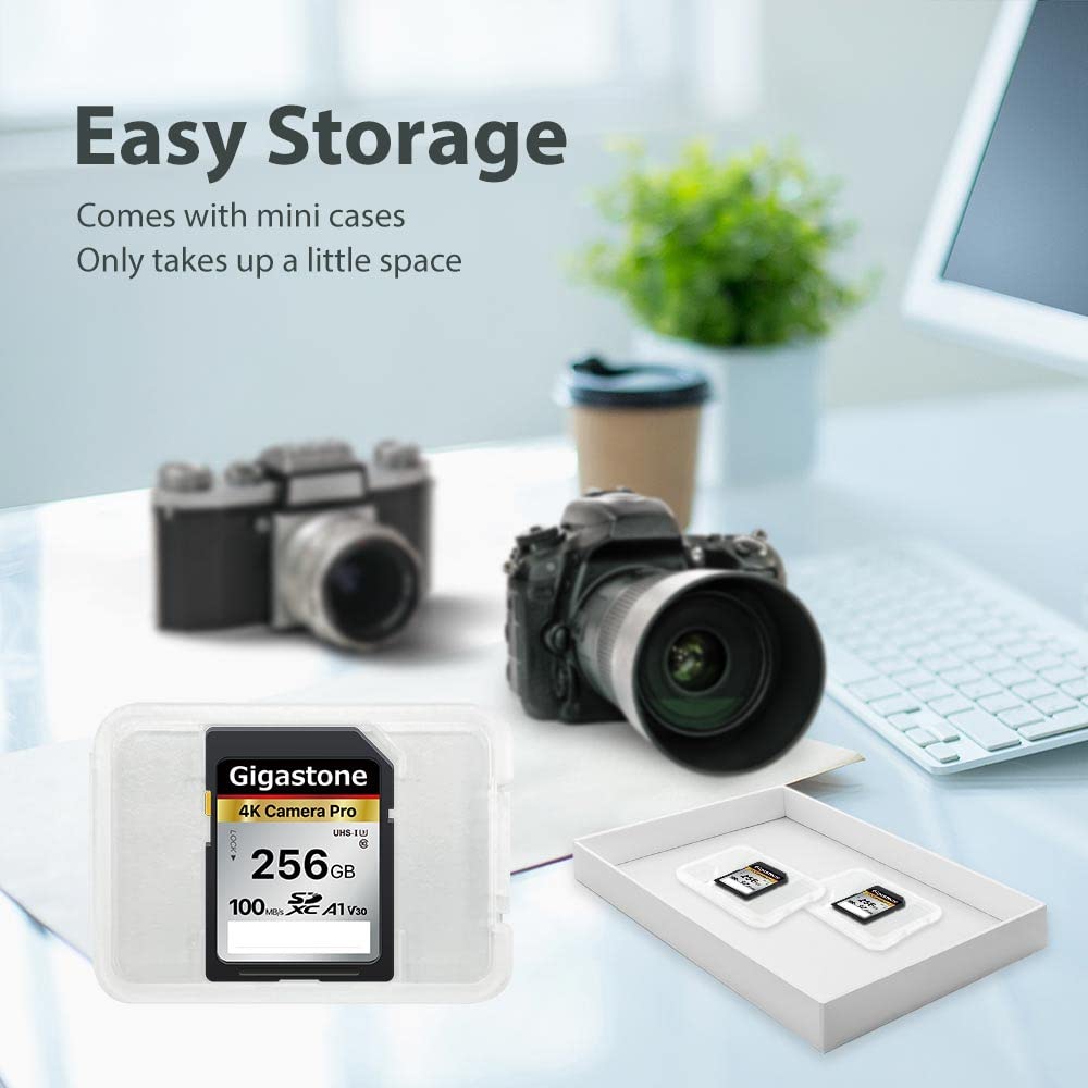 [5-Yrs Free Data Recovery] GIGASTONE 256GB SD Card, 4K Camera Pro, A1 V30 SDXC Memory Card 4K UHD Video Compatible with Canon Digital Camera, with 1 Mini Case