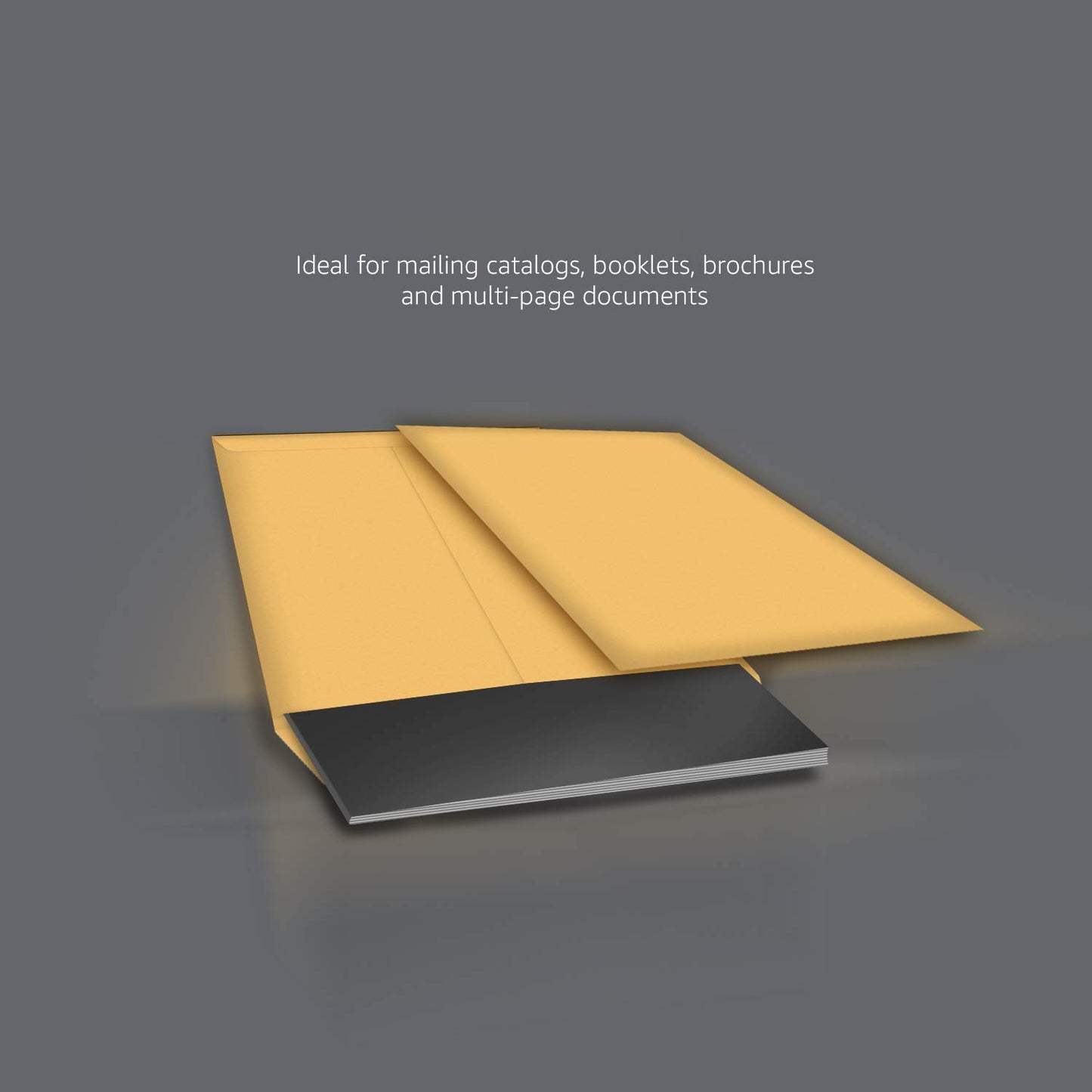 Amazon Basics Catalog Mailing Envelopes, Peel & Seal, 9x12 Inch, Brown Kraft, 100-Pack - AMZP13